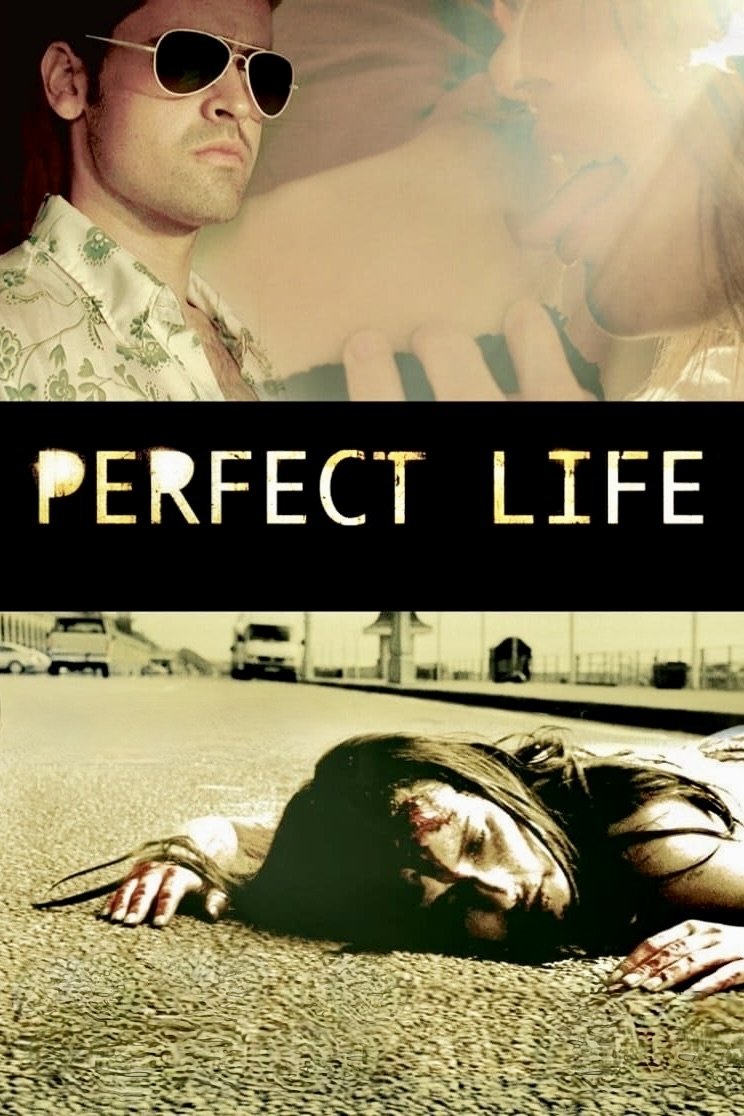 Постер Perfect Life